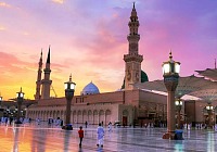 alyaqeenonline.net 18