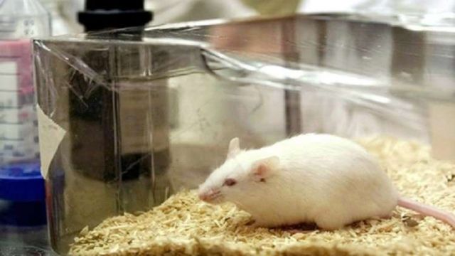 5c860a08d4375050208b459e