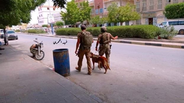 قوات “المارينز” الأمريكية تنتشر في شوارع حضرموت وتفتش سيارات المواطنين