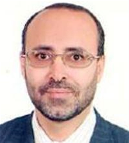 ديمقراطية الإصلاح بين اللوائح والممارسات