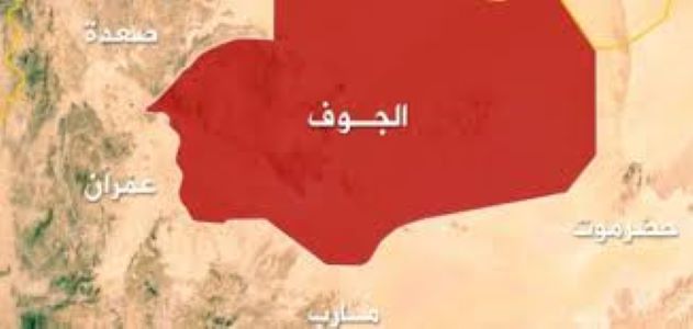 القوات الحكومية تعلن استعادة سيطرتها على عدة مناطق في الجوف شمال اليمن