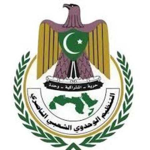 الحزب الناصري يعتزم انسحابه رسمياً من تشكيلة الحكومة الجديدة