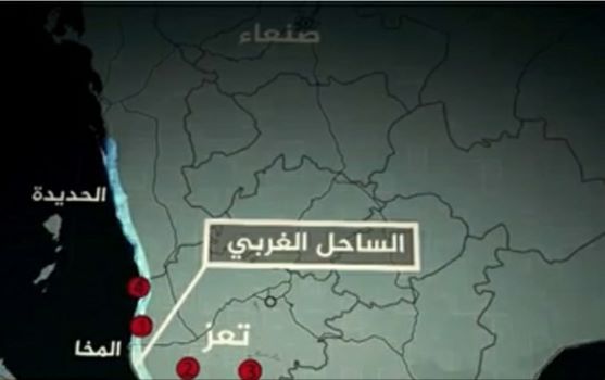 وثائق تكشف عن خفايا وكواليس سيطرة الإمارات على الساحل الغربي لليمن