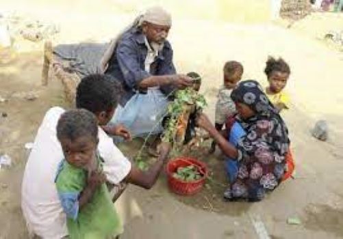 الأمم المتحدة : اليمن من بين ٢٠ نقطة ساخنة للجوع في العالم